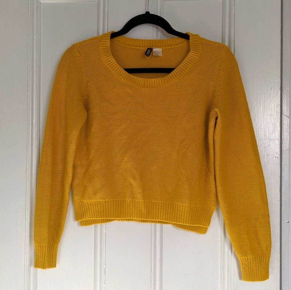 light, cropped, mustard sweater